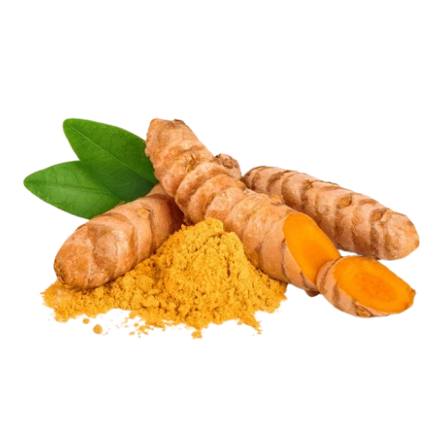 Turmeric root